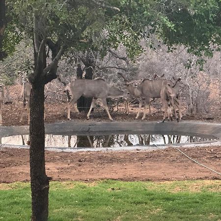 Umoya Safari Lodge Matlhagame Eksteriør bilde