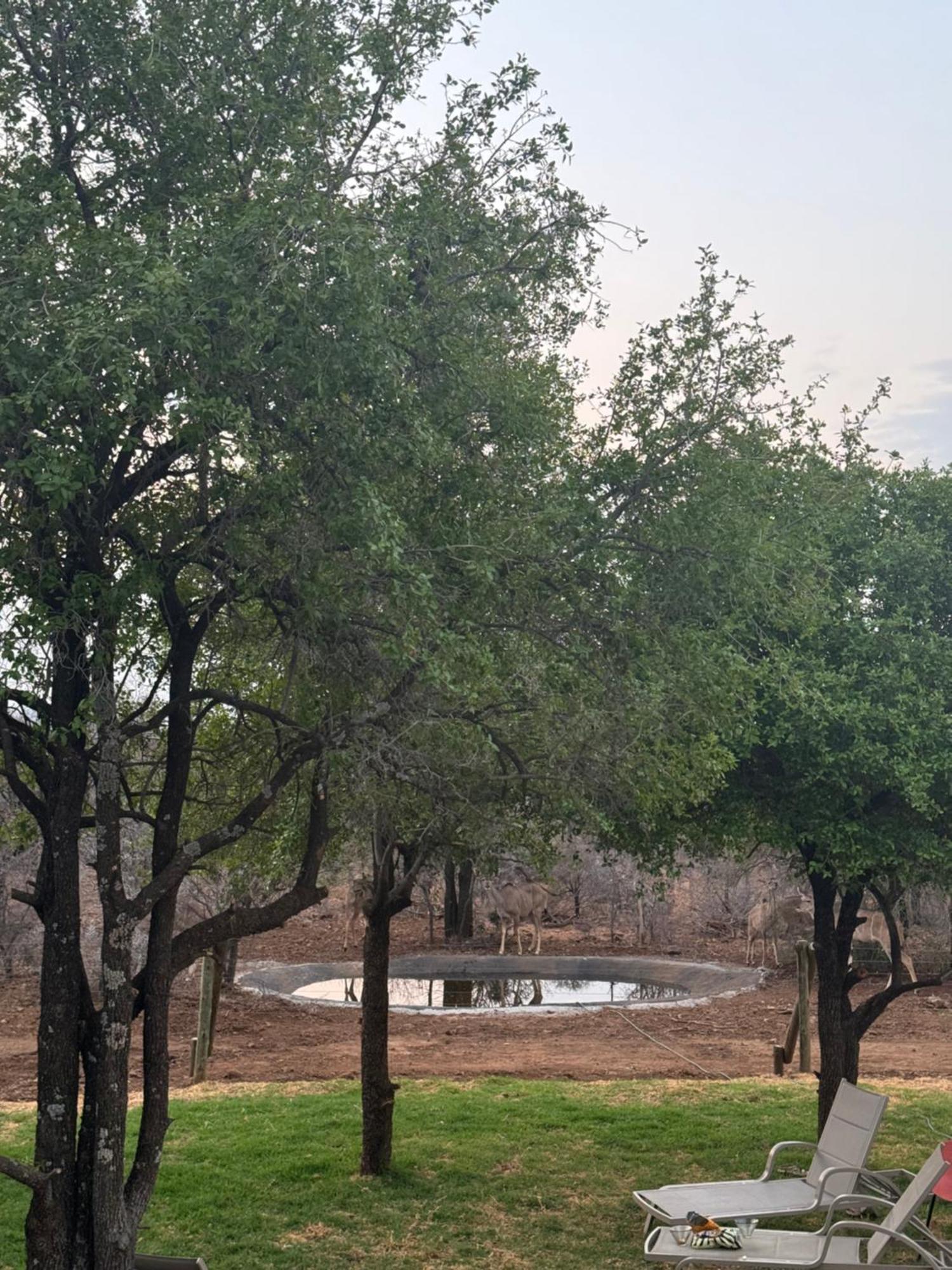 Umoya Safari Lodge Matlhagame Eksteriør bilde