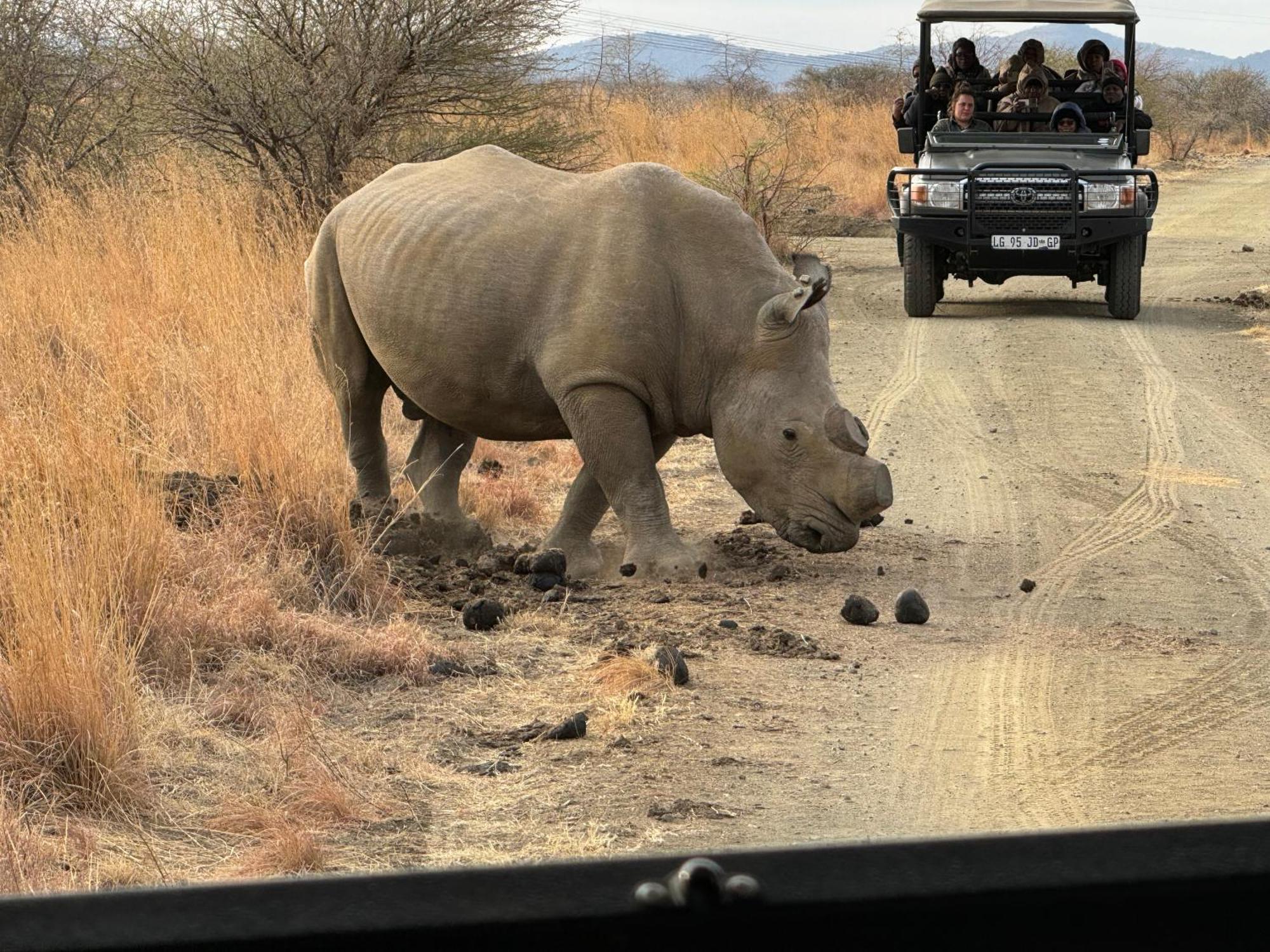 Umoya Safari Lodge Matlhagame Eksteriør bilde